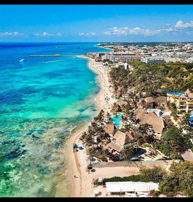 Your Exclusive Studio In The City - Top Amenities & Services For Free!! Playa del Carmen Esterno foto