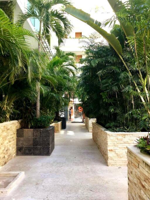 Your Exclusive Studio In The City - Top Amenities & Services For Free!! Playa del Carmen Esterno foto