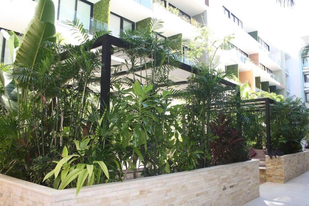 Your Exclusive Studio In The City - Top Amenities & Services For Free!! Playa del Carmen Esterno foto